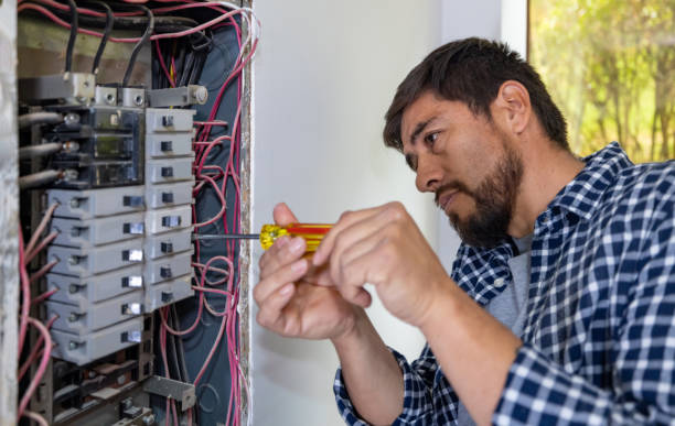 Best Ceiling Fan Installation Electrician  in Timnath, CO